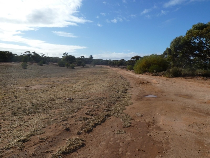 30 Crossing Road, Berri SA 5343