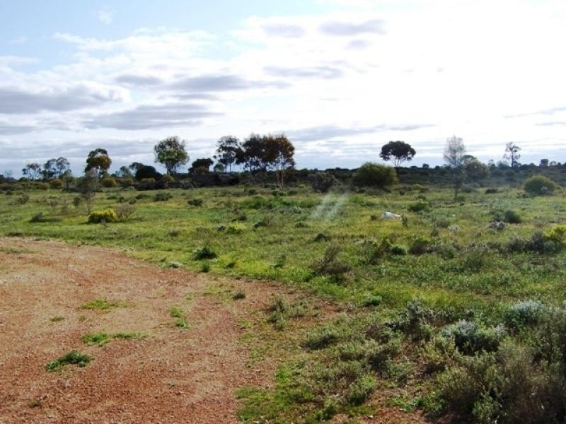 331 Riverview Terrace, Morgan SA 5320