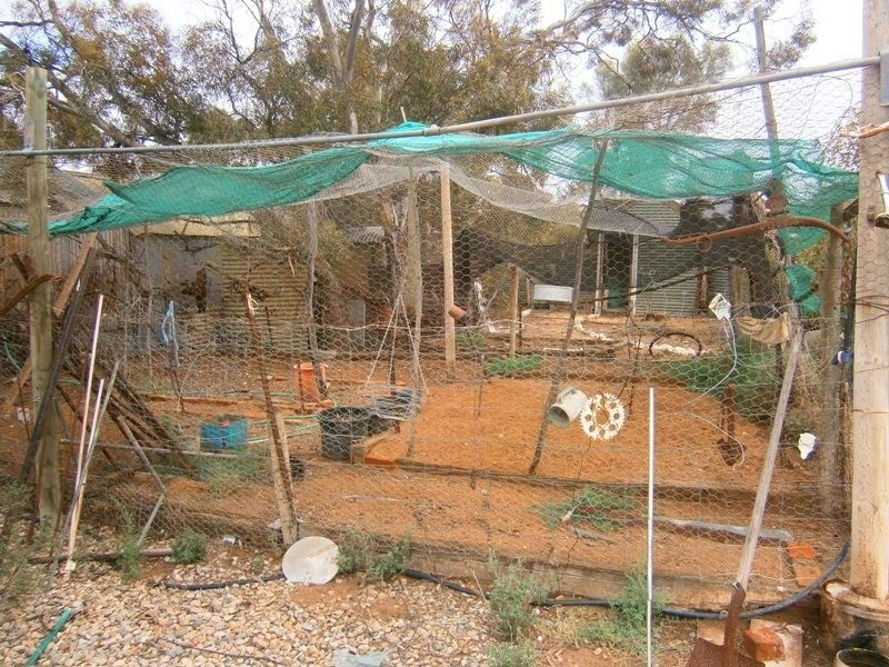 1609 Galga Road, Mercunda SA 5308