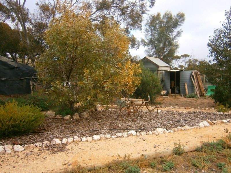 1609 Galga Road, Mercunda SA 5308