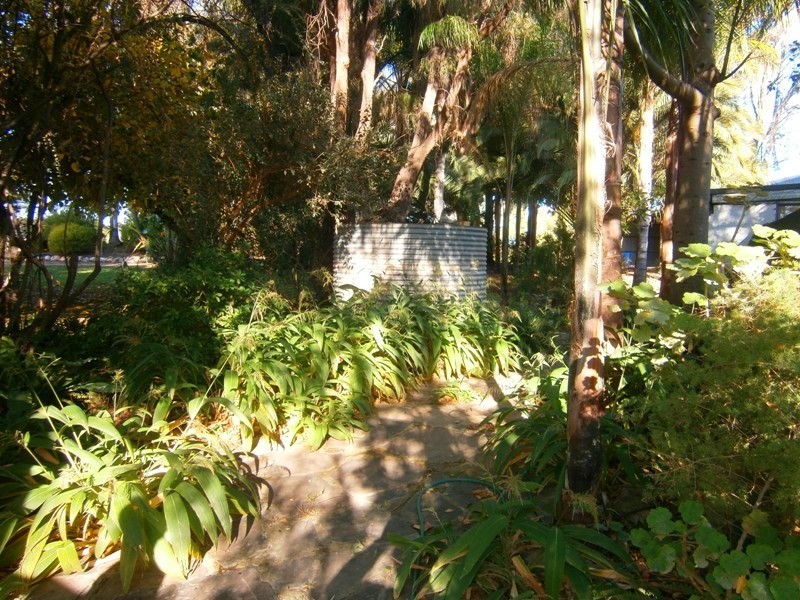 159 Qualco Road, Waikerie SA 5330