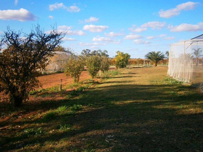 159 Qualco Road, Waikerie SA 5330