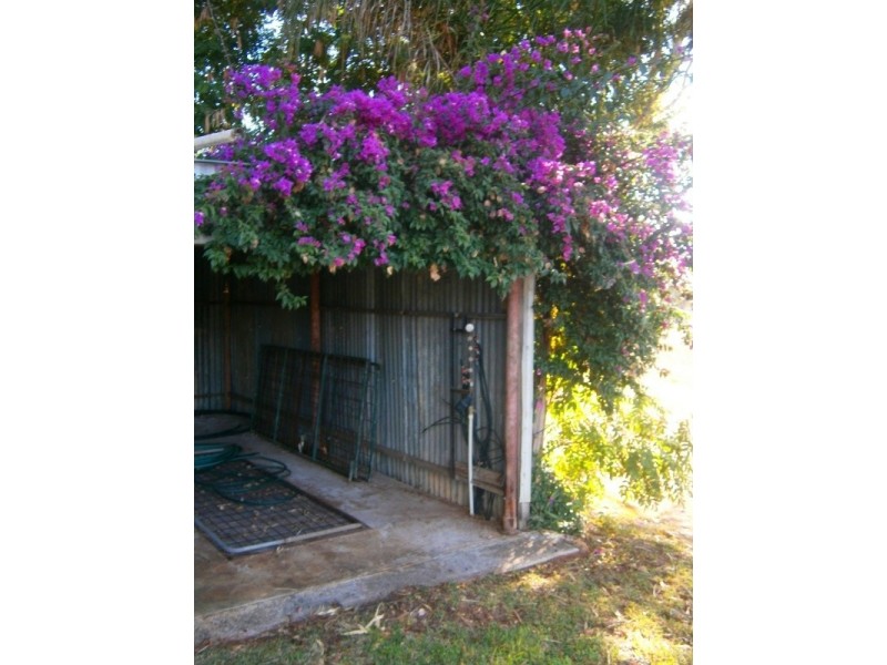 159 Qualco Road, Waikerie SA 5330