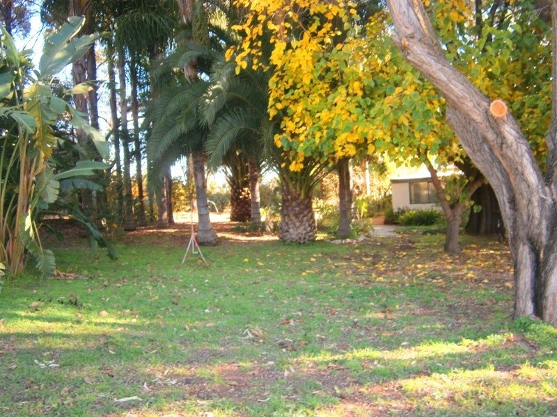 159 Qualco Road, Waikerie SA 5330