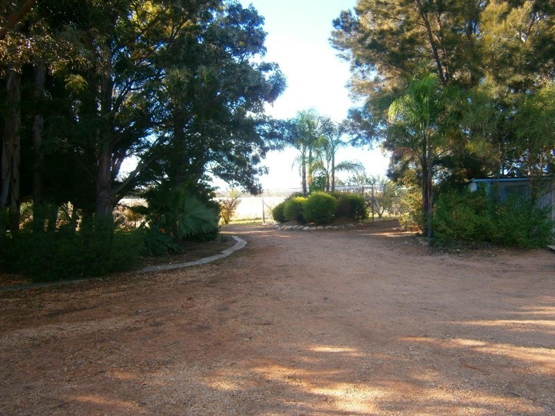 159 Qualco Road, Waikerie SA 5330