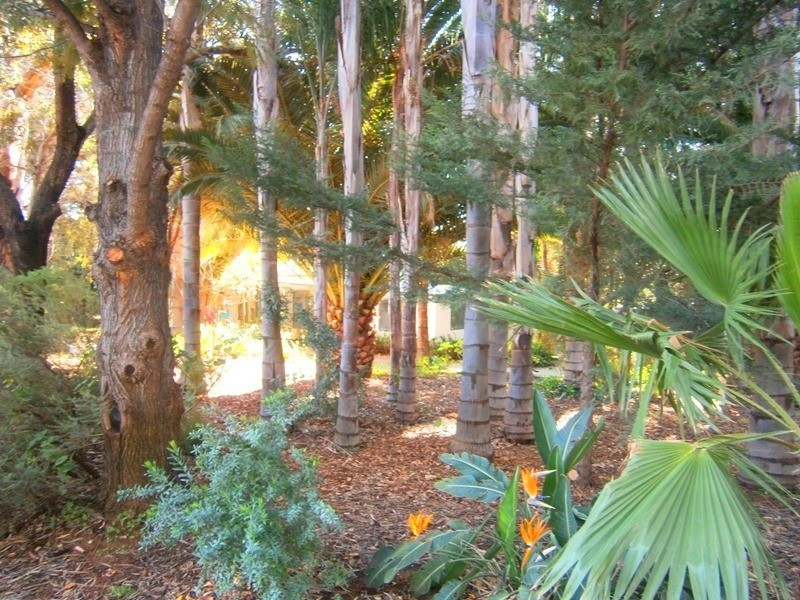 159 Qualco Road, Waikerie SA 5330