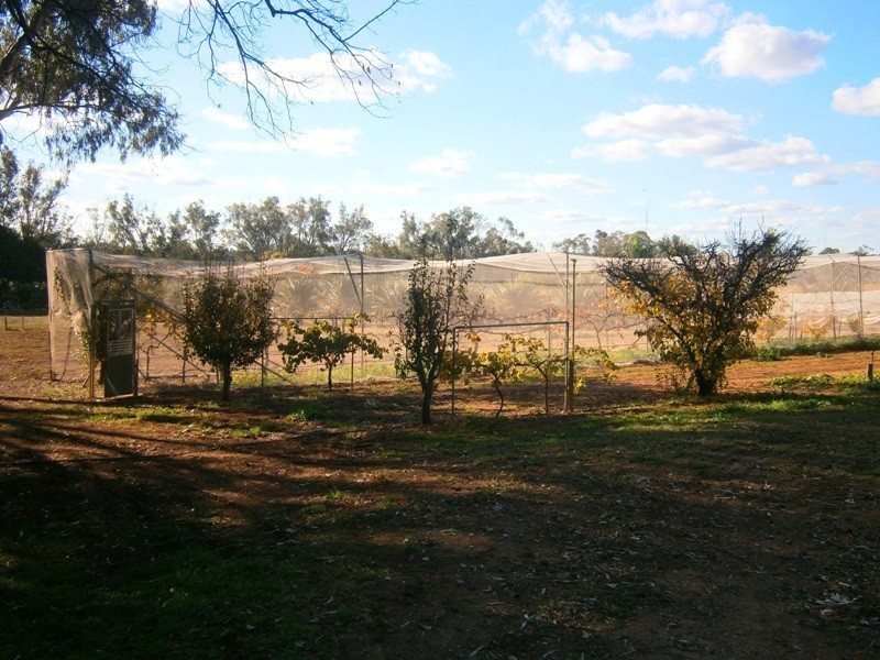 159 Qualco Road, Waikerie SA 5330