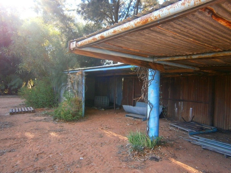 159 Qualco Road, Waikerie SA 5330