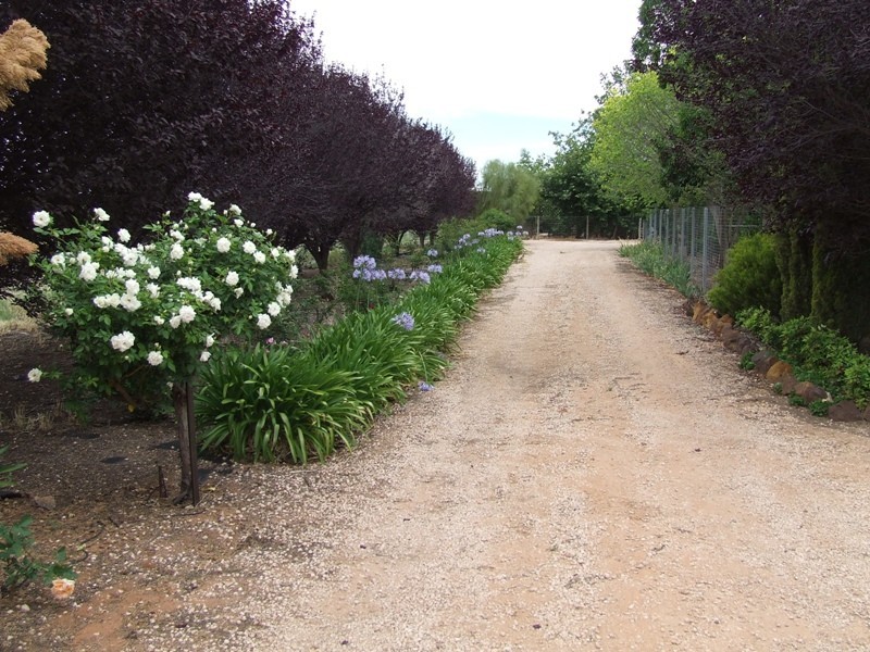 85 Gallary Terrace, Lyrup SA 5343