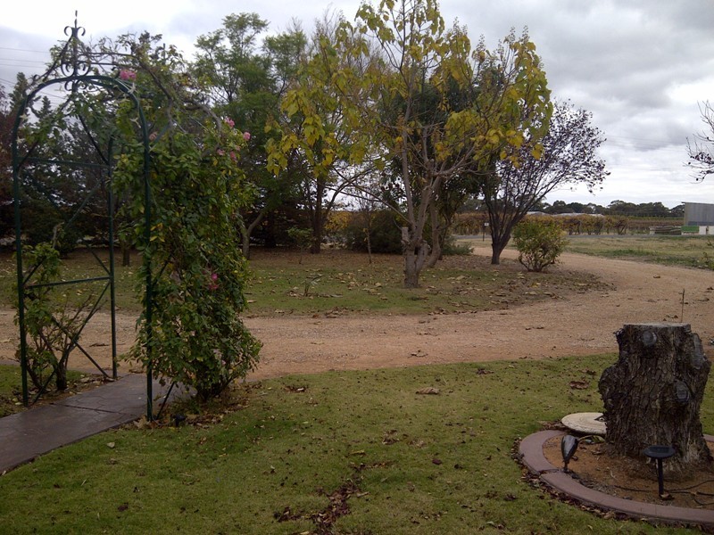 85 Gallary Terrace, Lyrup SA 5343