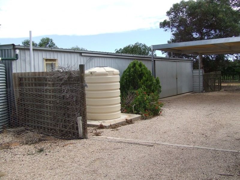 85 Gallary Terrace, Lyrup SA 5343