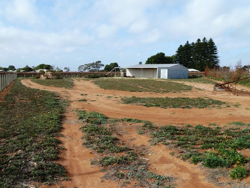 20 Keith Payne Court, Loxton SA 5333