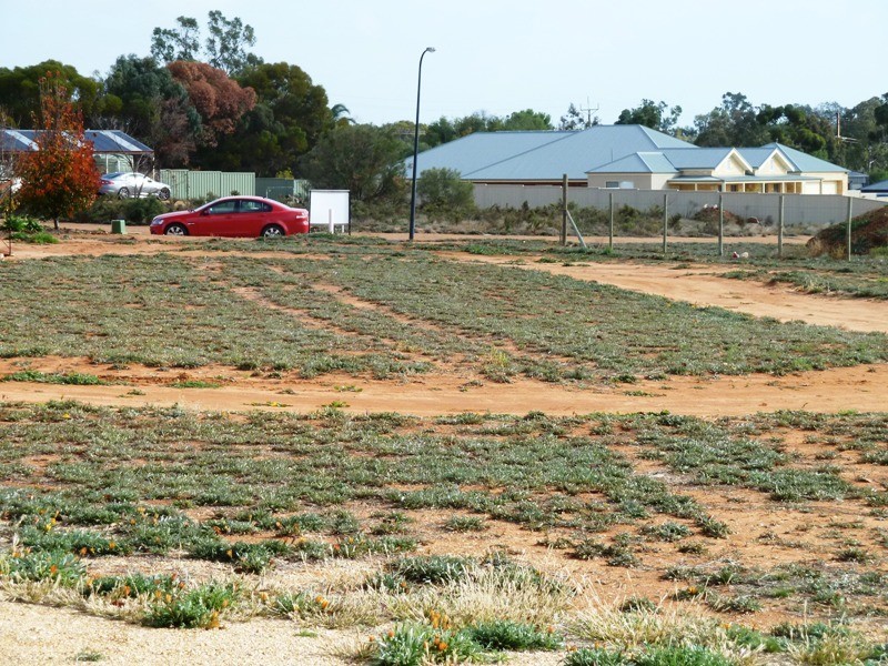 20 Keith Payne Court, Loxton SA 5333