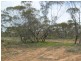 Section 320 Sturt Highway, Berri SA 5343