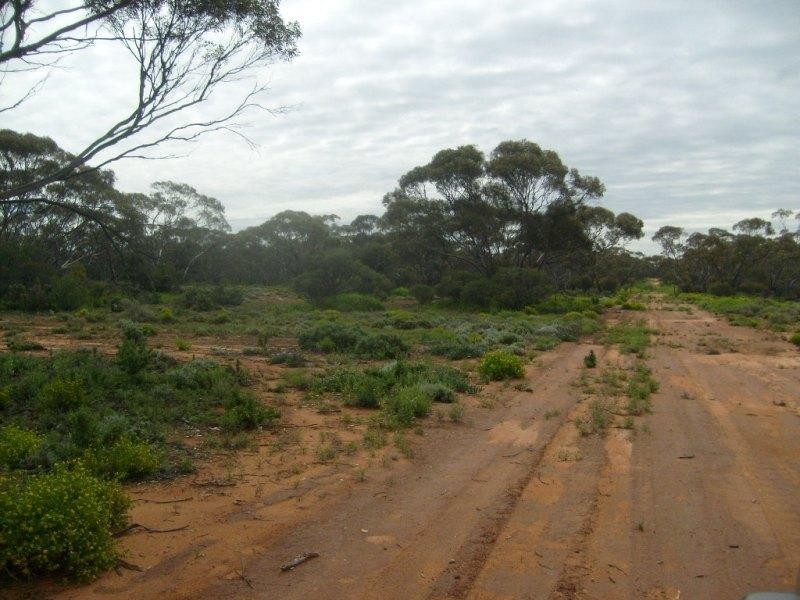 Section 320 Sturt Highway, Berri SA 5343