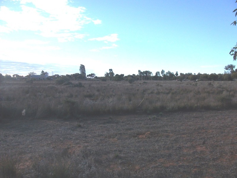 684 Thiele Road, Loveday SA 5345