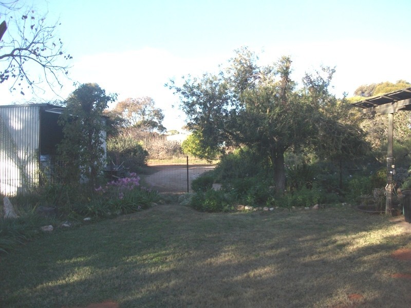 684 Thiele Road, Loveday SA 5345