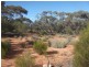 20 Rawnsley Road, Loveday SA 5345
