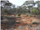 20 Rawnsley Road, Loveday SA 5345