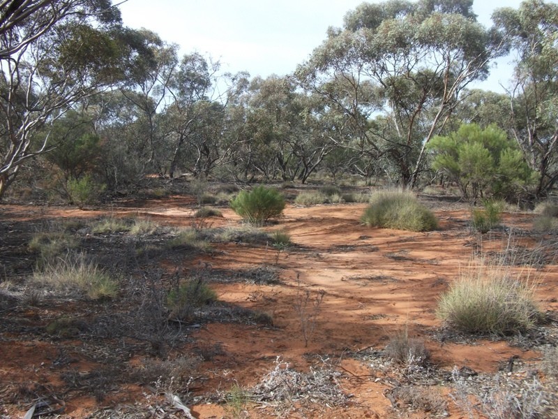 20 Rawnsley Road, Loveday SA 5345