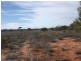 20 Rawnsley Road, Loveday SA 5345