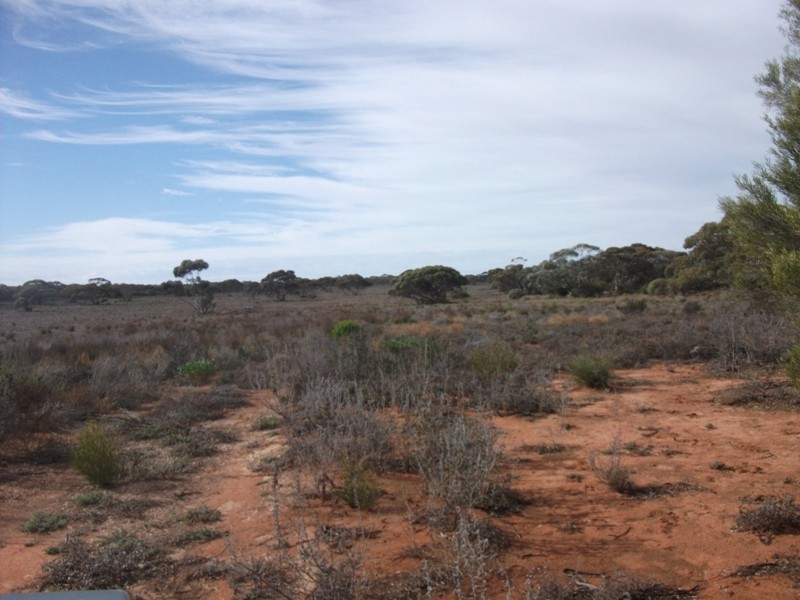 20 Rawnsley Road, Loveday SA 5345