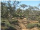 Sections 994 ,995,996,997,998 and 1265 Harding Road, Monash SA 5342