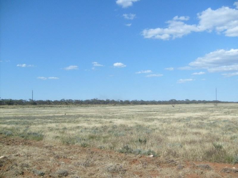 Sections 994 ,995,996,997,998 and 1265 Harding Road, Monash SA 5342
