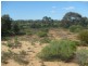Sections 994 ,995,996,997,998 and 1265 Harding Road, Monash SA 5342