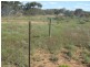 Sections 994 ,995,996,997,998 and 1265 Harding Road, Monash SA 5342