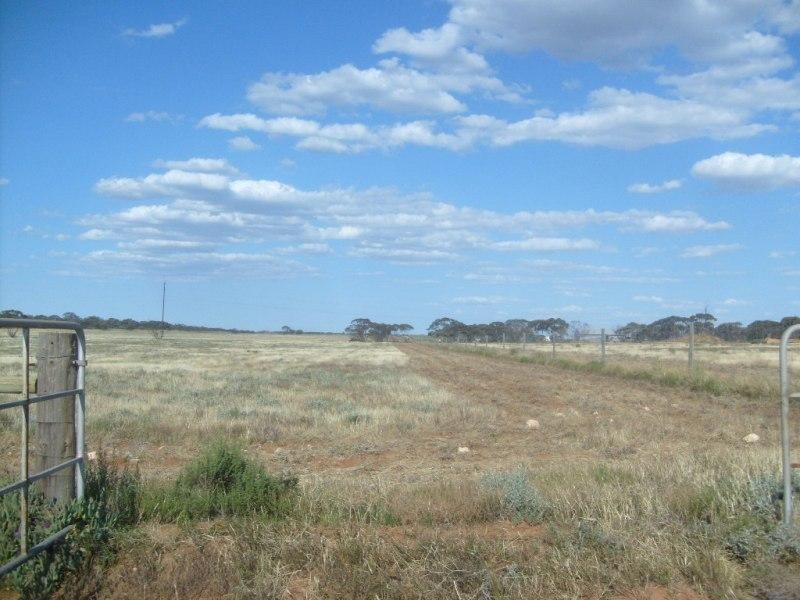 Sections 994 ,995,996,997,998 and 1265 Harding Road, Monash SA 5342