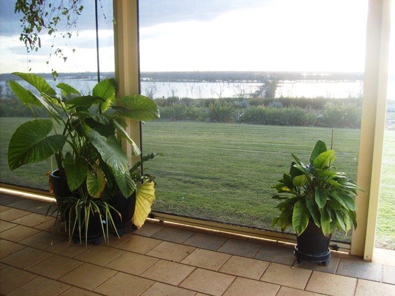 260 Loveday Road, Loveday SA 5345