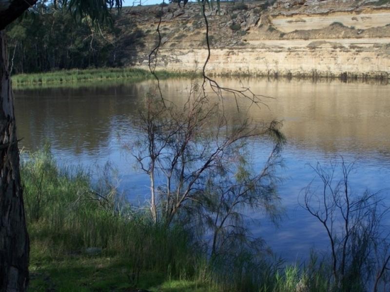 site 13 Government Road, Pelican Point via, Morgan SA 5320