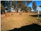 235 Playford Road, Ramco SA 5322