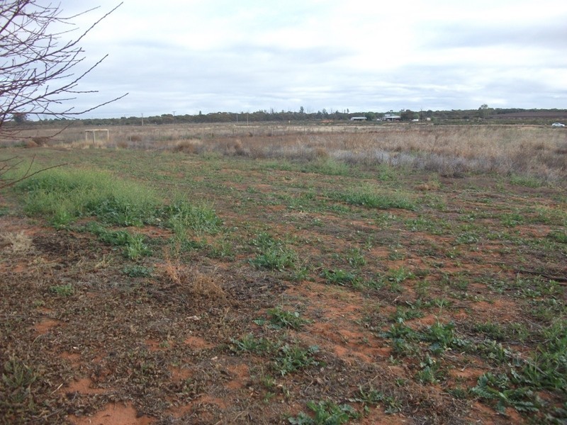 218 West Road, Glossop SA 5344