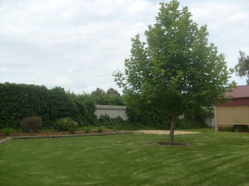 116 Winkie Road, Winkie SA 5343