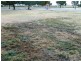141 Paruna Road, Loxton SA 5333