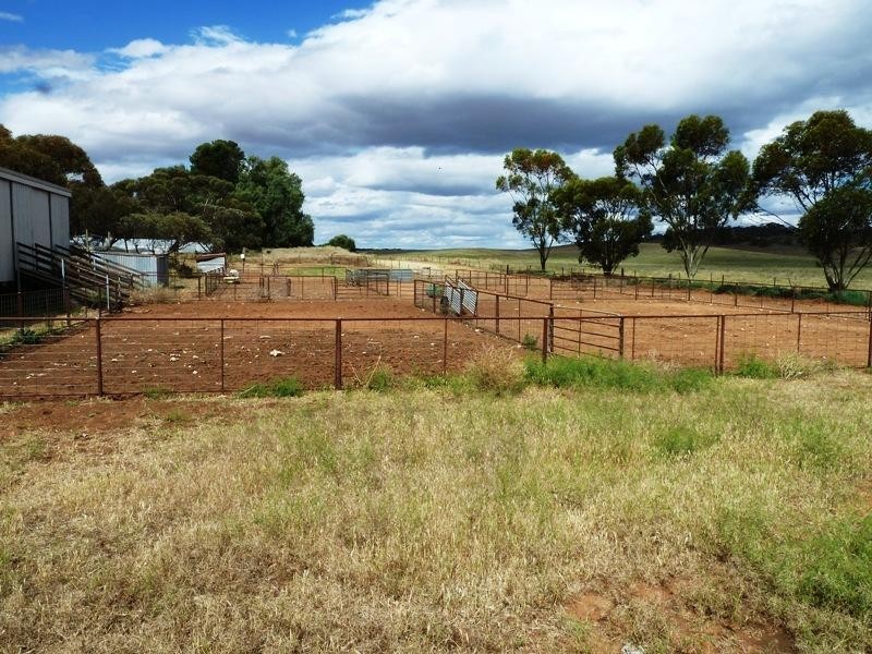 Section 29 Hundred of, Peebinga SA 5304