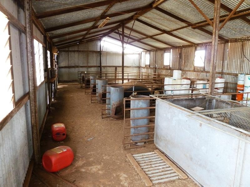 Section 29 Hundred of, Peebinga SA 5304