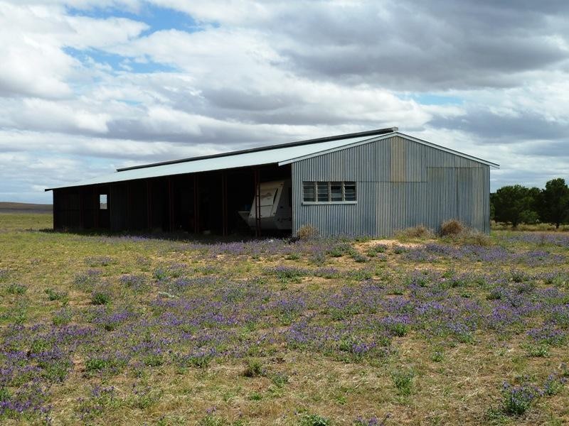 Section 29 Hundred of, Peebinga SA 5304