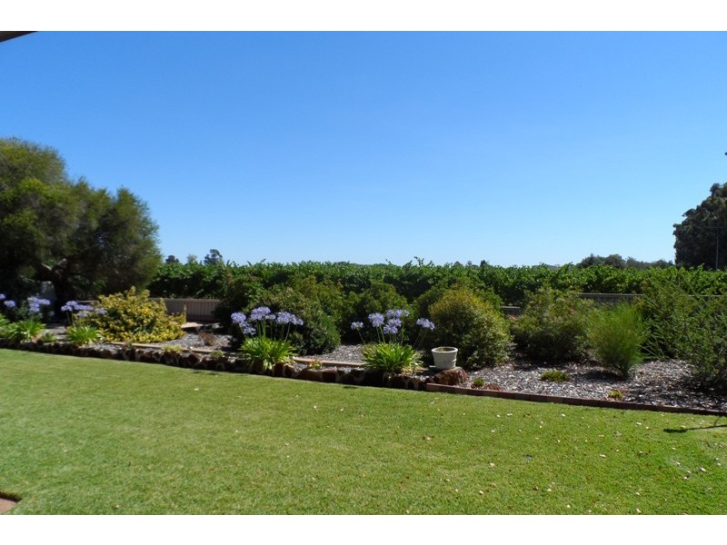 89 Warrego Street, Renmark SA 5341