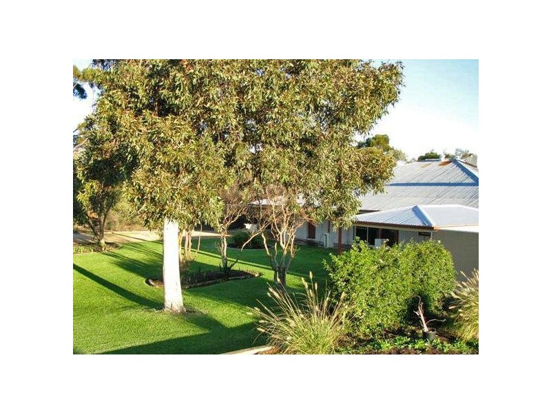 3151 Kingston Rd, Loxton SA 5333