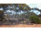 Lot 91 Seekamp Street, Renmark SA 5341