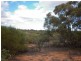 Lot 91 Seekamp Street, Renmark SA 5341
