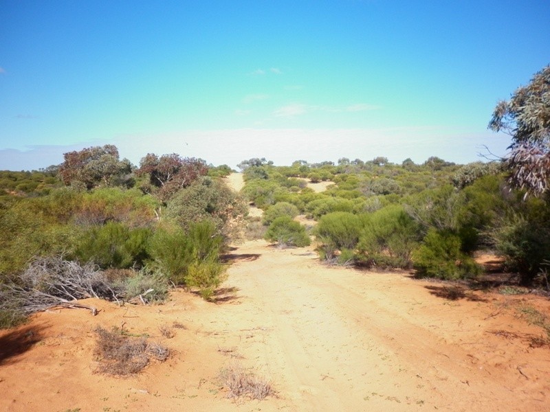 Lot 91 Seekamp Street, Renmark SA 5341