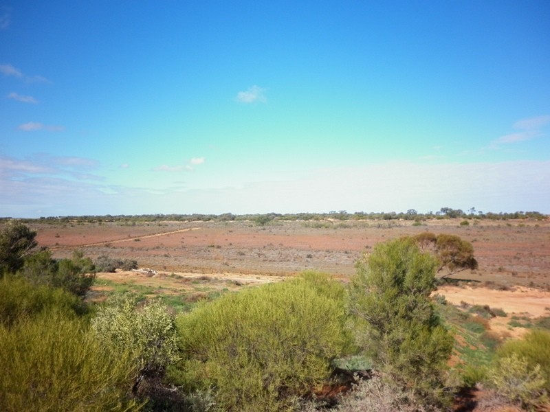 Lot 91 Seekamp Street, Renmark SA 5341