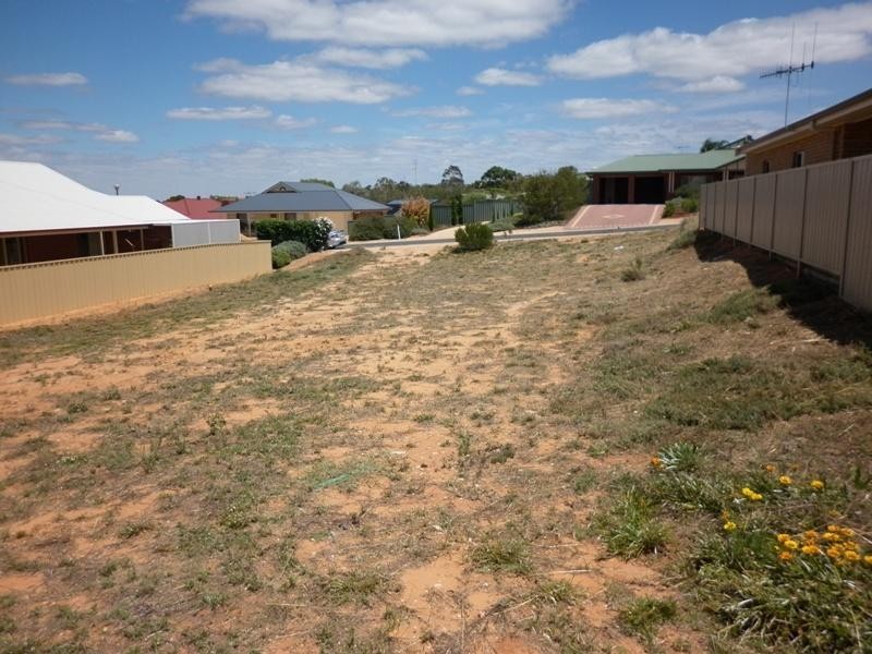 12 Ian Drive, Paringa SA 5340
