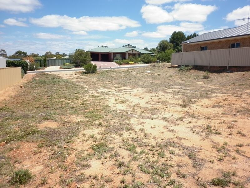 12 Ian Drive, Paringa SA 5340
