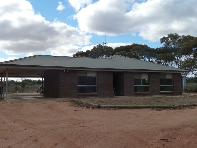 112 Spendiff Road, Winkie SA 5343