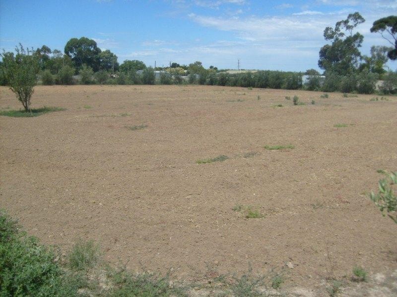 Lot 8 Bollenhagen Place, Lyrup SA 5343